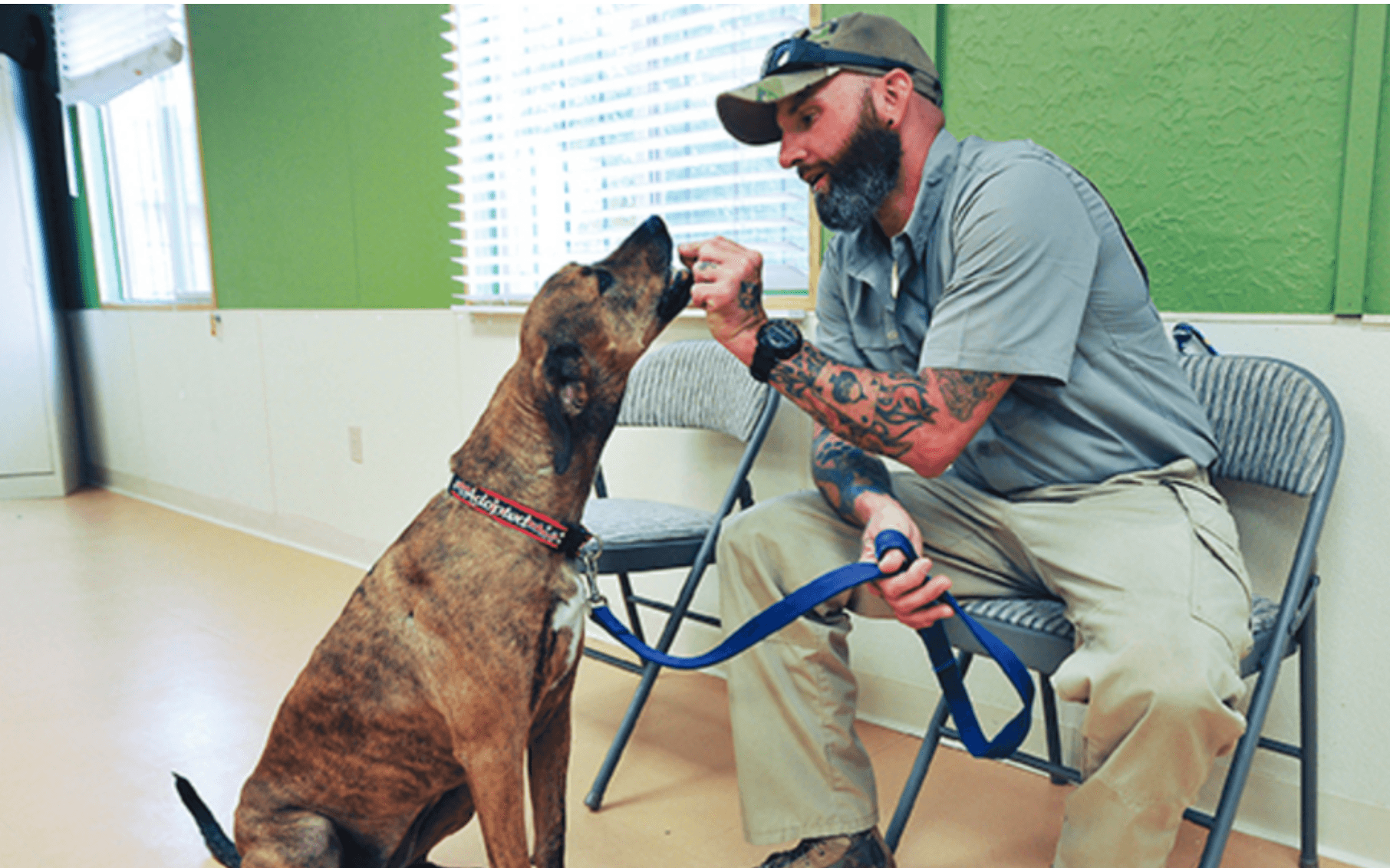 Invisible Wounds Board Member in Stars and Stripes: A Midwest VA Center Points the Way Forward